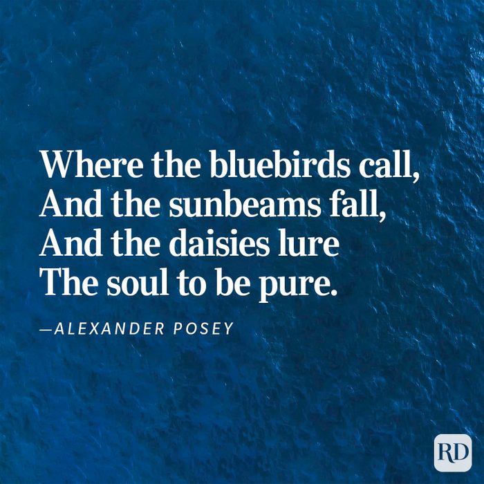 Nature Poems Gettyimages 4