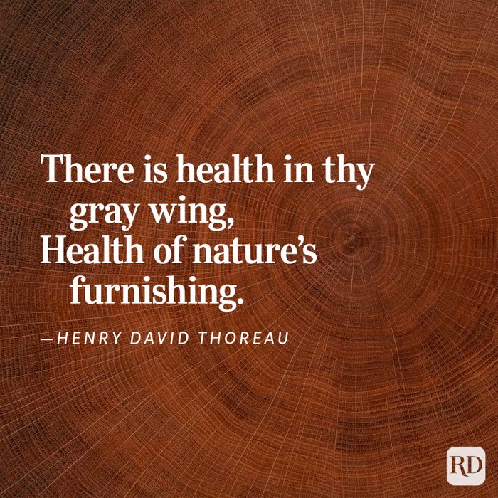 Nature Poems Gettyimages 6