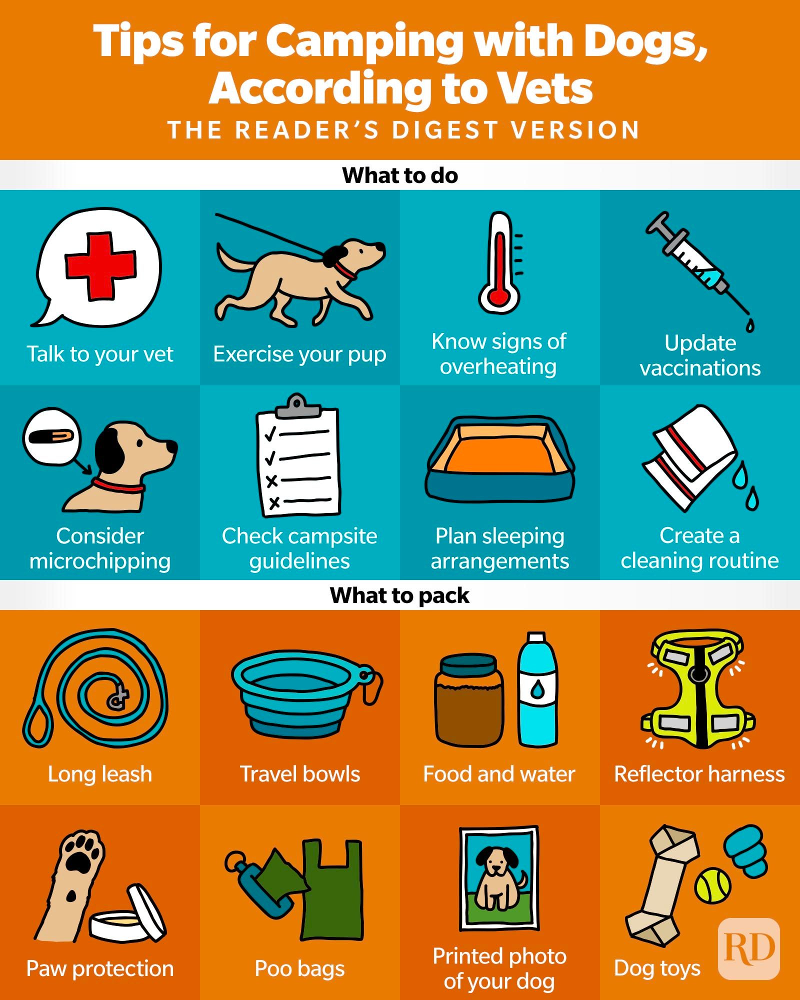 Tips For Camping With Dogs Infographic