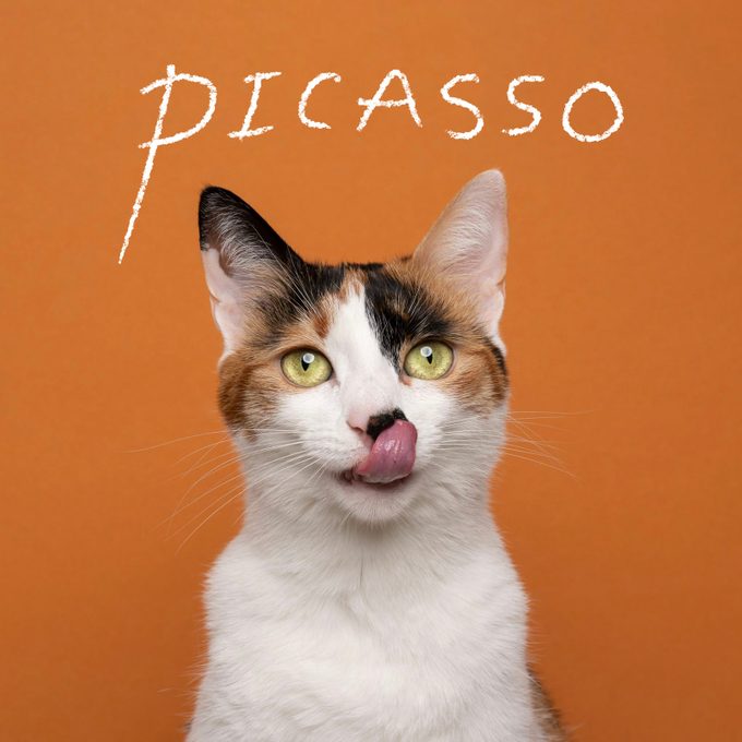 Cute Cat Names 7 Calico Gettyimages 1368035536