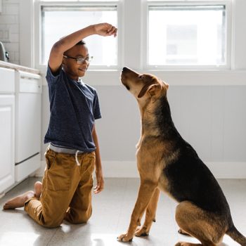 boy holding up treat to train dog that is sitting