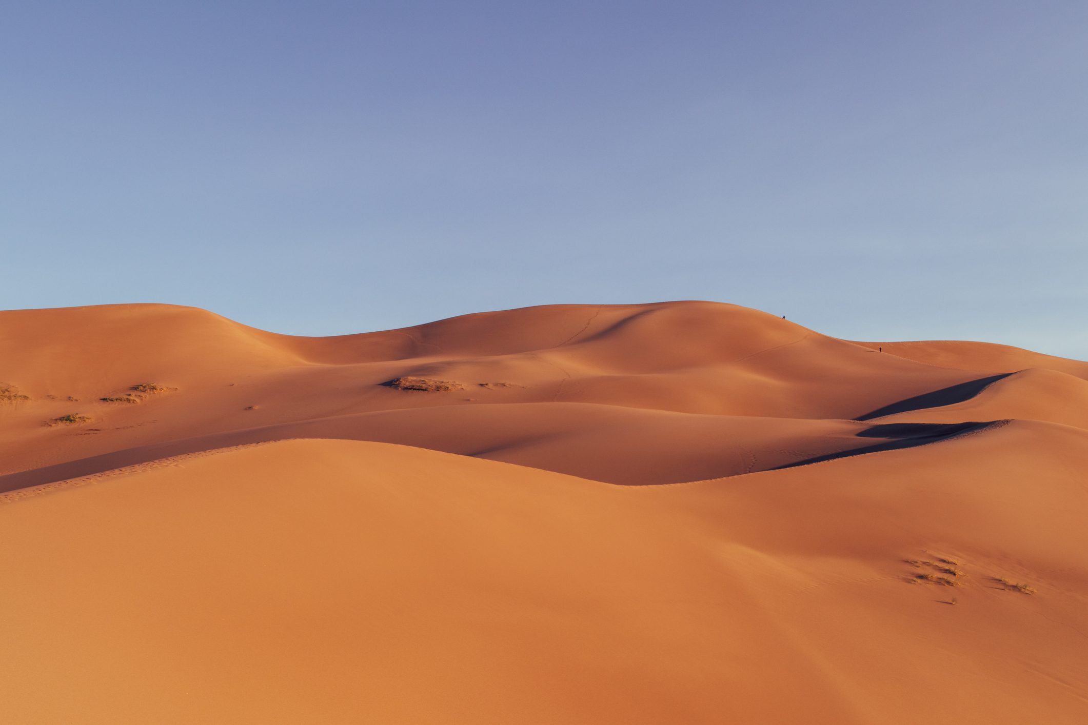 Morning in Great Sand Dunes National Park in Southwest Colorado