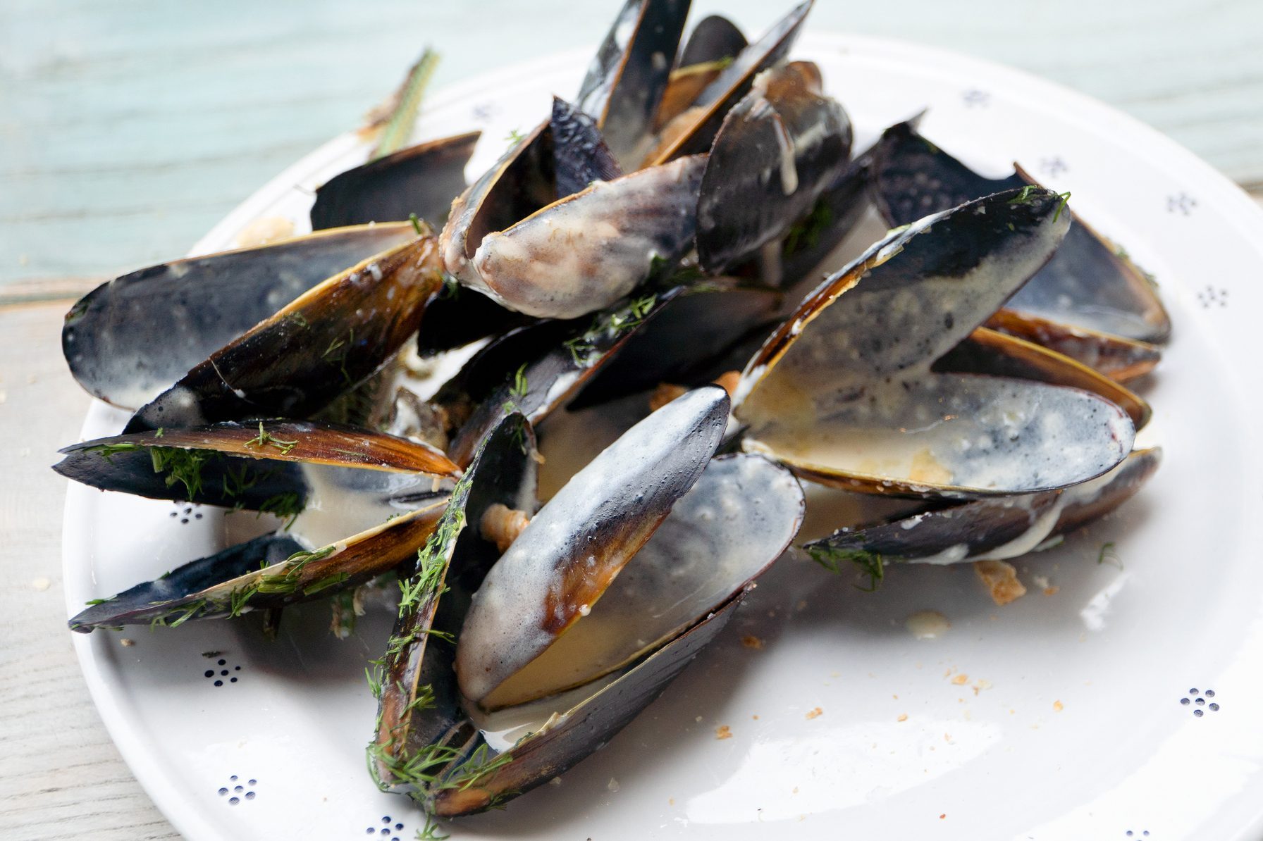 Leftover seafood after dinner at a restaurant. empty mussel shells on a plate. Dirty dishes