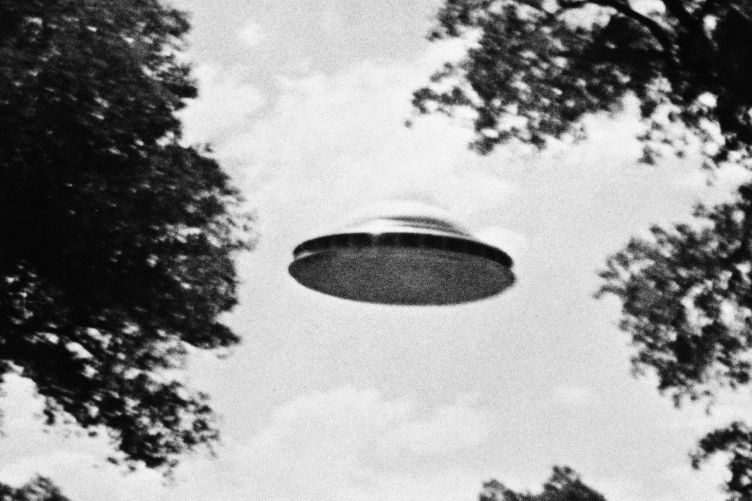 UFO Flying Low Over Trees