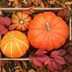 When Is the First Day of Fall? The Autumnal Equinox in 2024