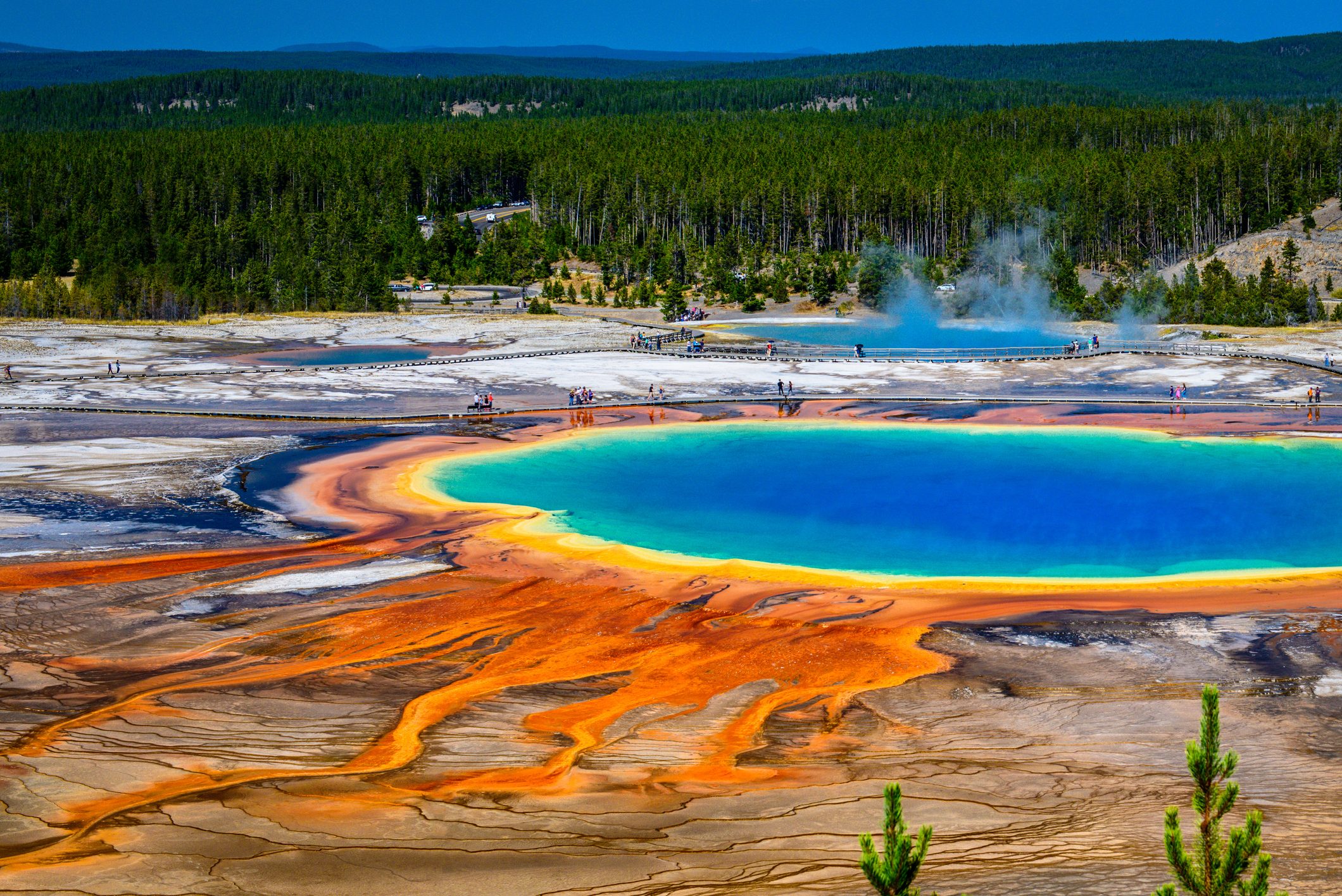 Grand Prismatic Spring