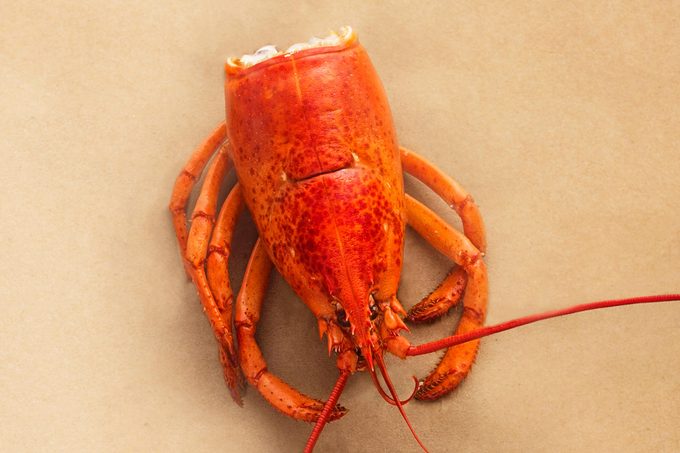 Lobster Body Gettyimages 588933349 Jvedit