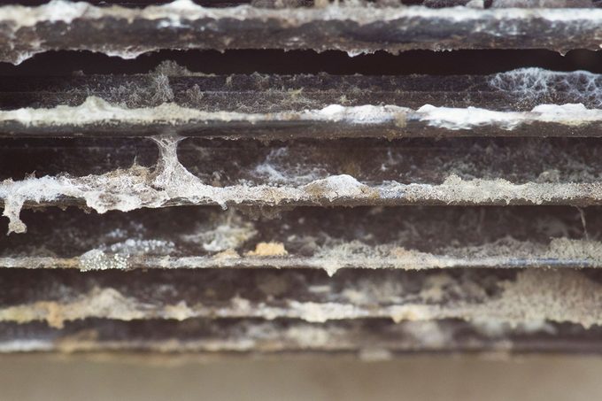Mold Inside The Air Conditioner.