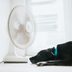 Warning Signs Your Dog Is Suffering from Heat Strokeâ€”and What to Do About It