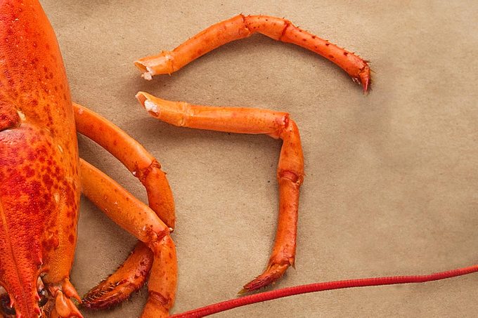 Lobster Legs on a paper table cloth