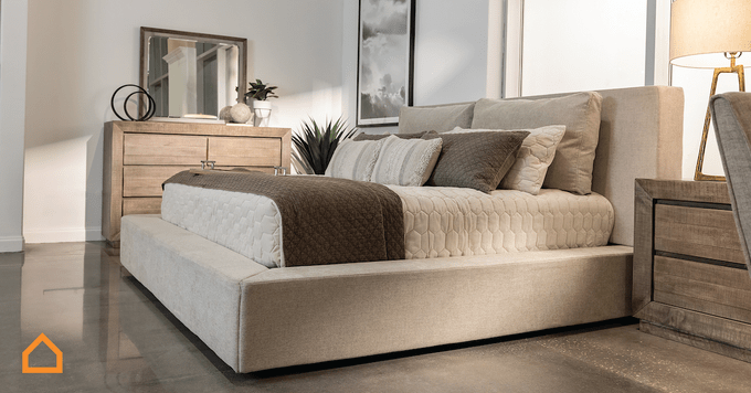 Ash Reintroducing 00961 1200x628