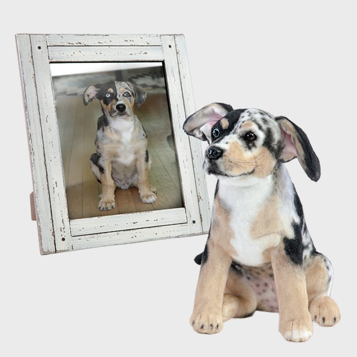 Cuddle Clones Original Plush Cuddle Clone