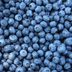 I Ate Blueberries Every Day for a Weekâ€”Hereâ€™s What Happened