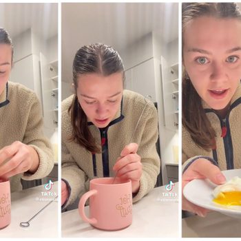 tiktok screenshots of microwaving egg hack from eliseseats