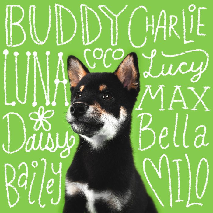 Most Popular Dog Names 2023