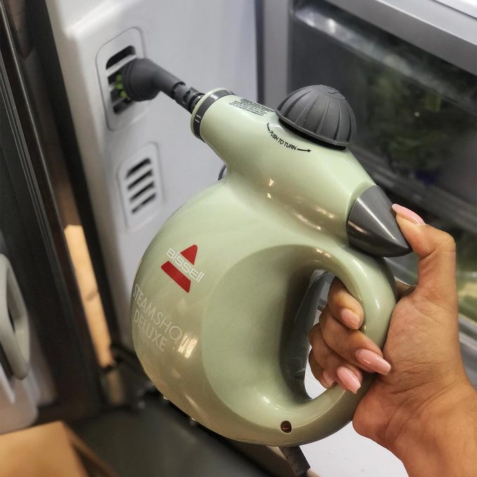 The Bissell Steam Shot By Andrea Carrillo Pd Edit