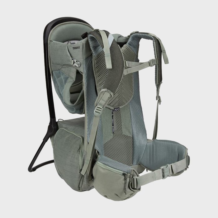 Thule Sapling Child Carrier