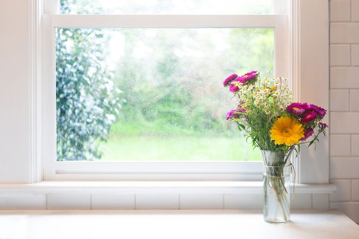 Window with flowers on side