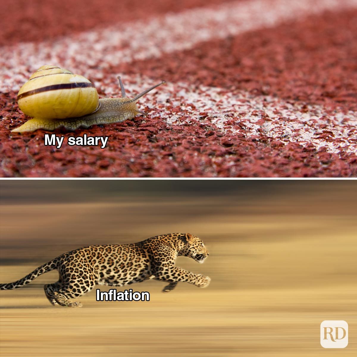 Hilarious Inflation Memes—because Laughter Is Free