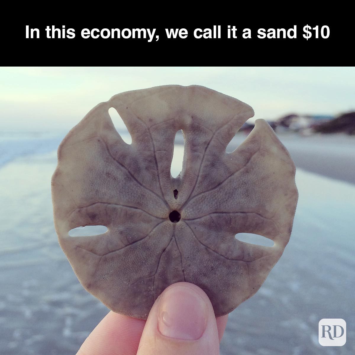 Hilarious Inflation Memes—because Laughter Is Free