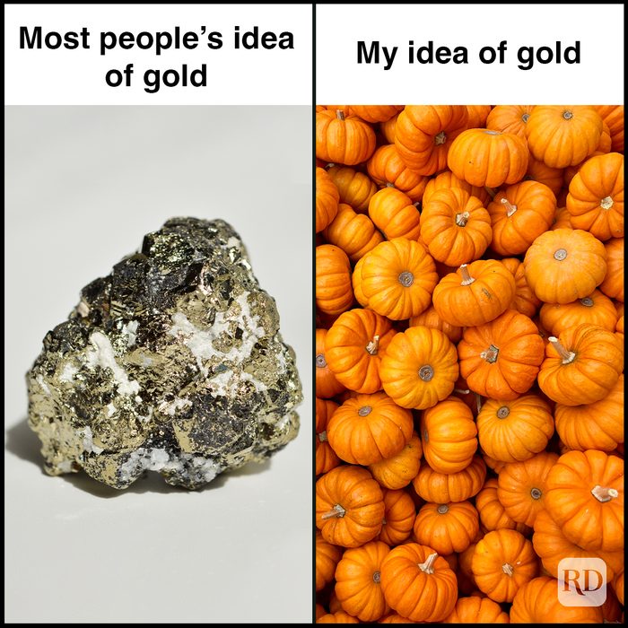 32 Pumpkin Spice Memes You Willl Totally Fall For 10