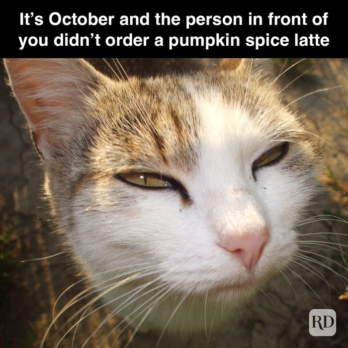 32 Pumpkin Spice Memes You Willl Totally Fall For 4