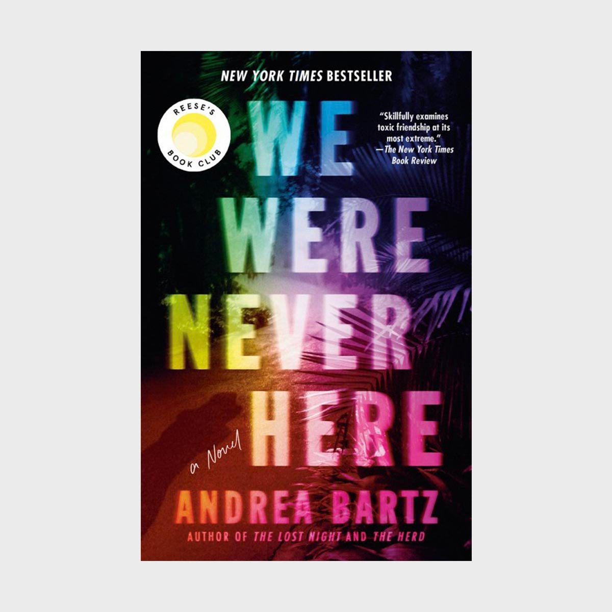 We Were Never Here by Andrea Bartz