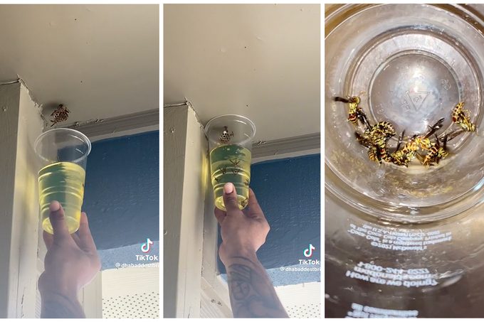 Gasoline Wasp Removal Via DhaBaddestBri TikTok