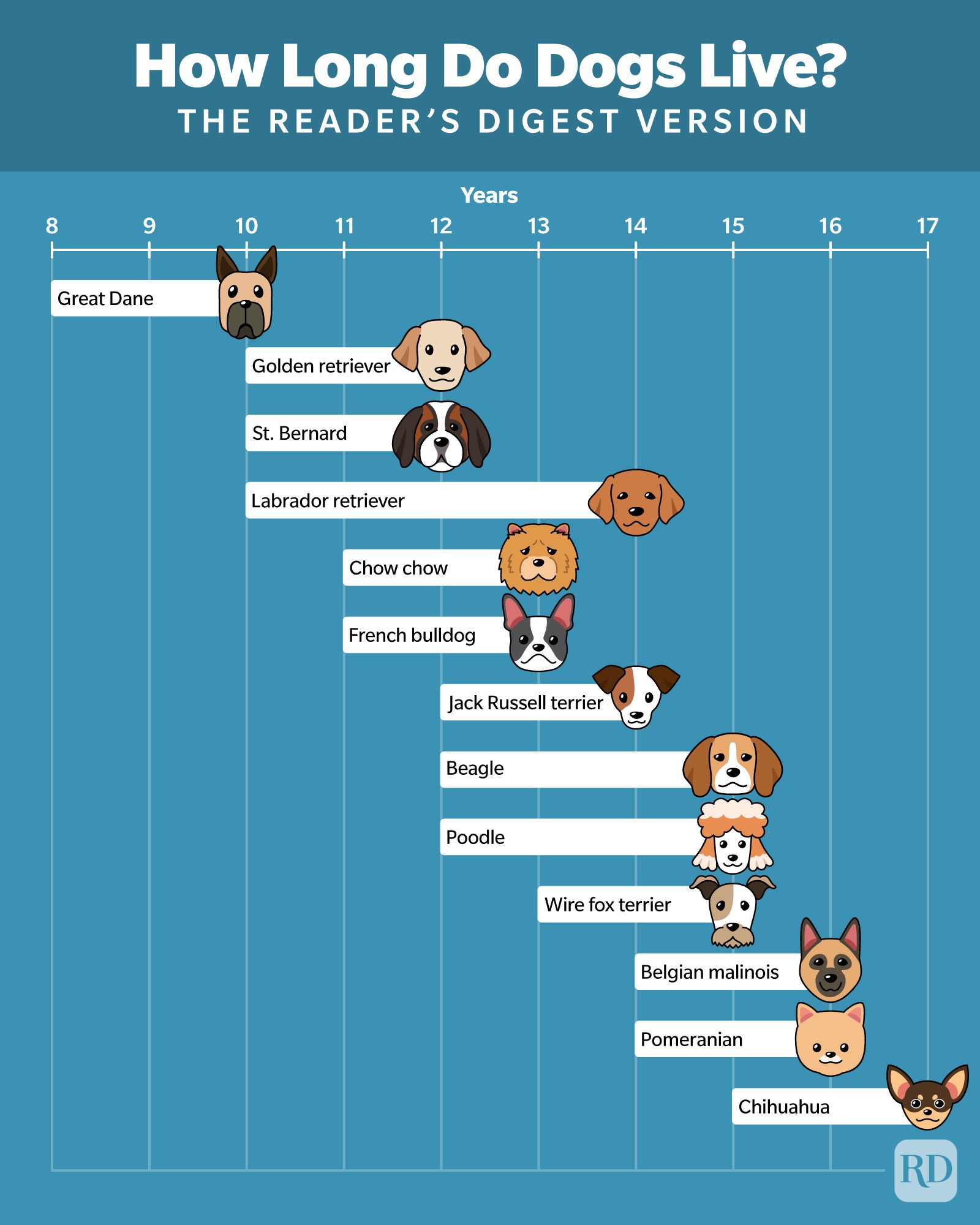 How Long Do Dogs Live Infographic