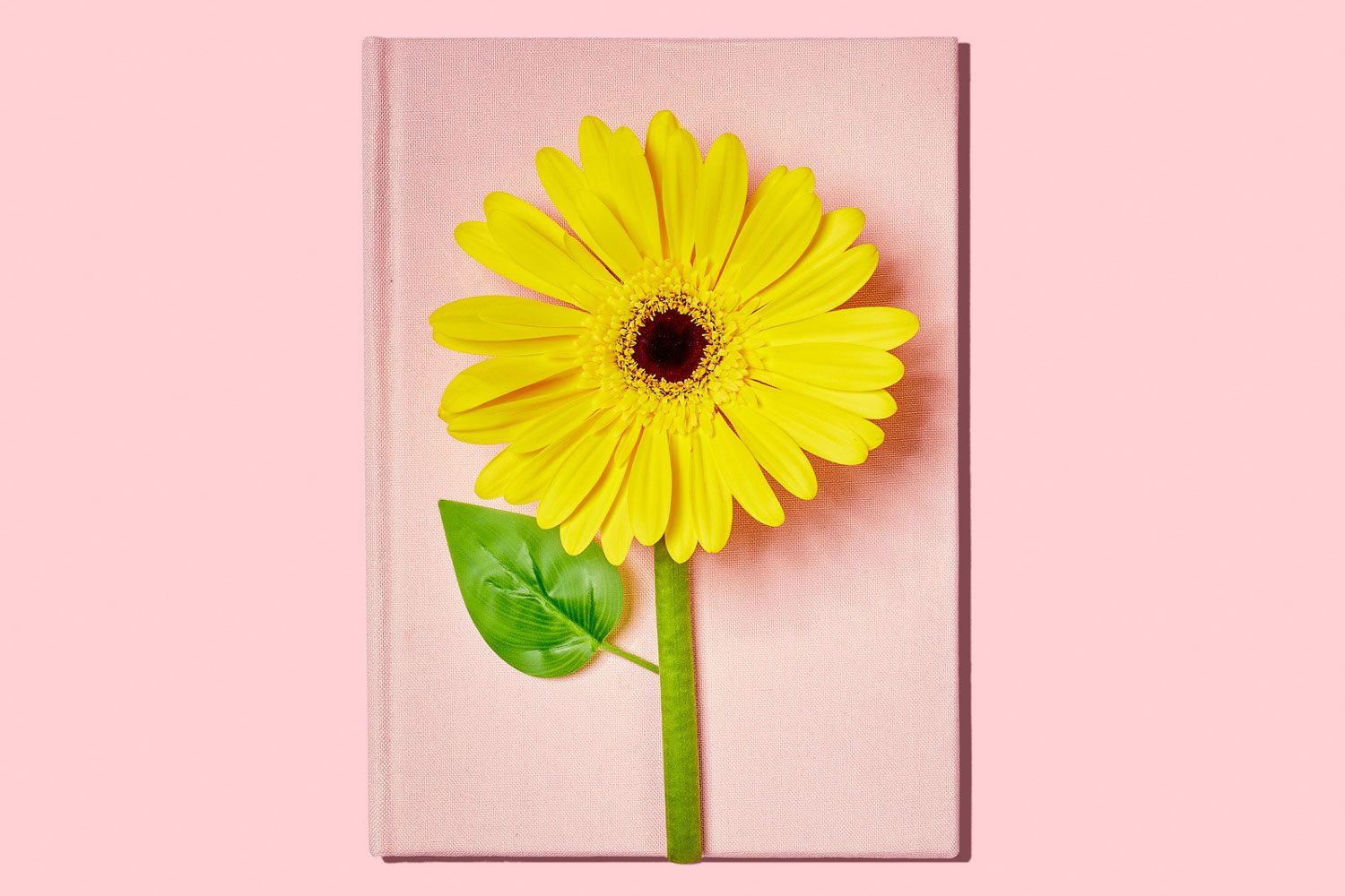 How to Read Faster—and Understand What You’ve Read