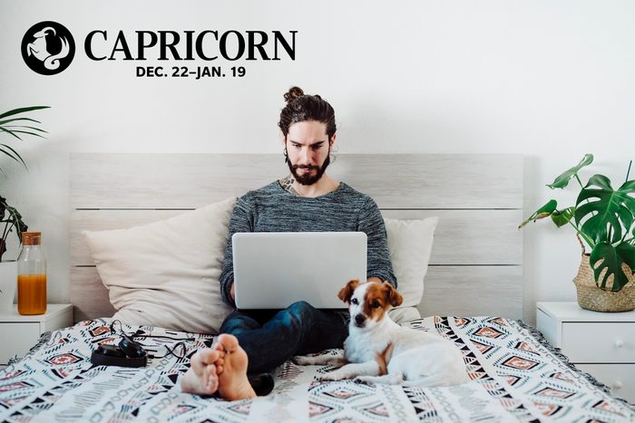 man working on laptop from bed with a dog