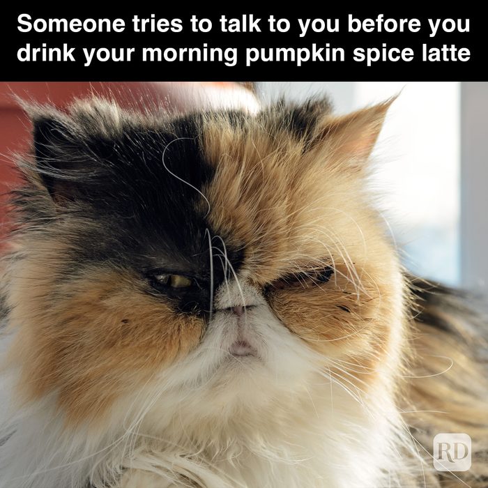 Rd Meme 32 Pumpkin Spice Memes You Willl Totally Fall For 17