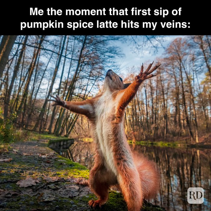 Rd Meme 32 Pumpkin Spice Memes You Willl Totally Fall For 19