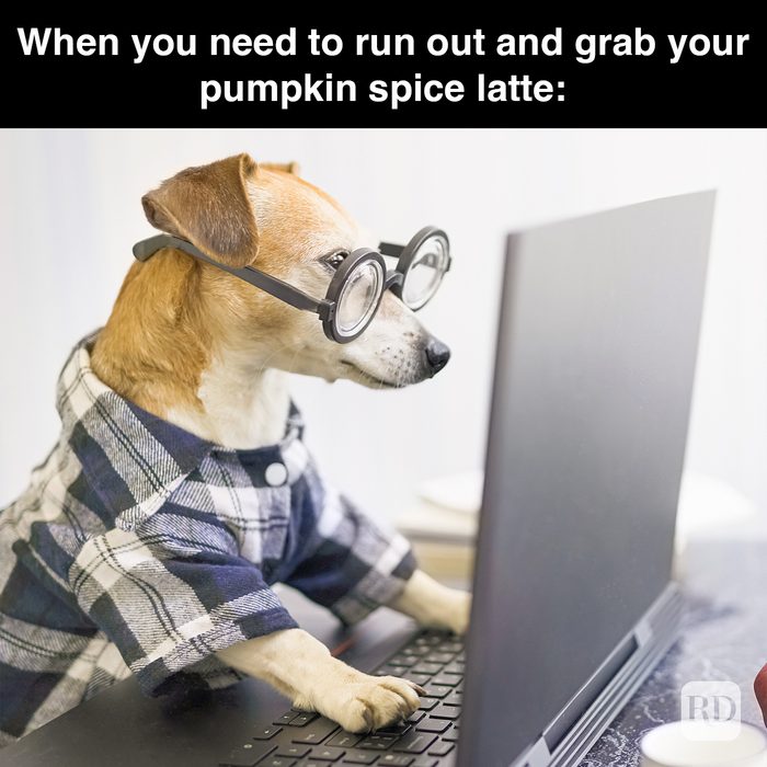 Rd Meme 32 Pumpkin Spice Memes You Willl Totally Fall For 22