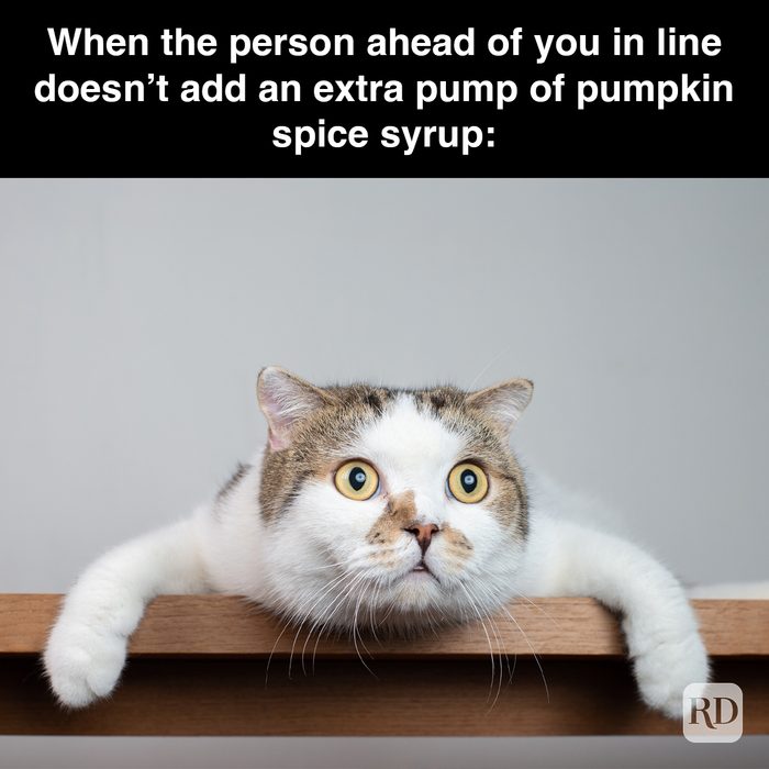 Rd Meme 32 Pumpkin Spice Memes You Willl Totally Fall For 23