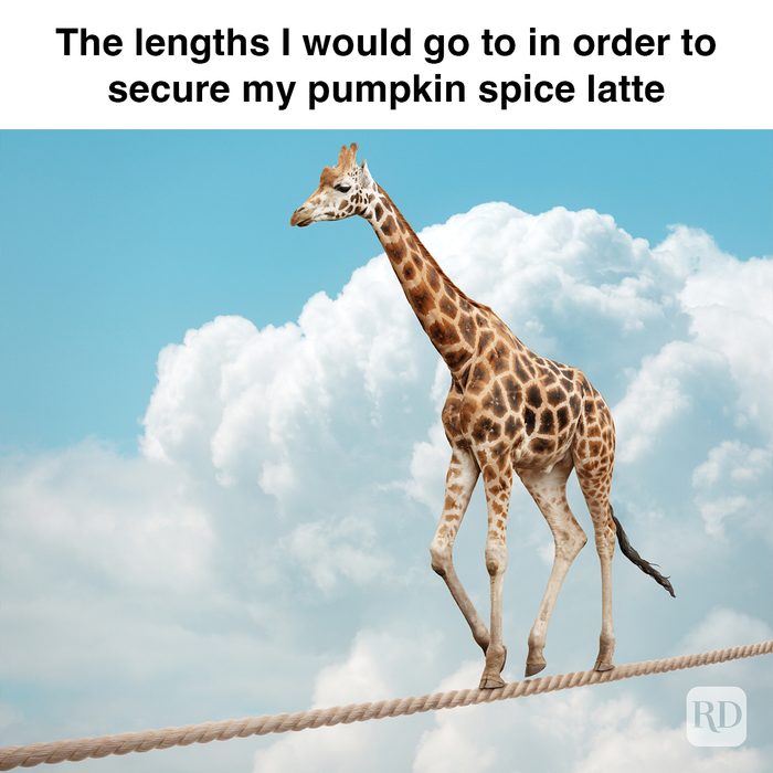 Rd Meme 32 Pumpkin Spice Memes You Willl Totally Fall For 25