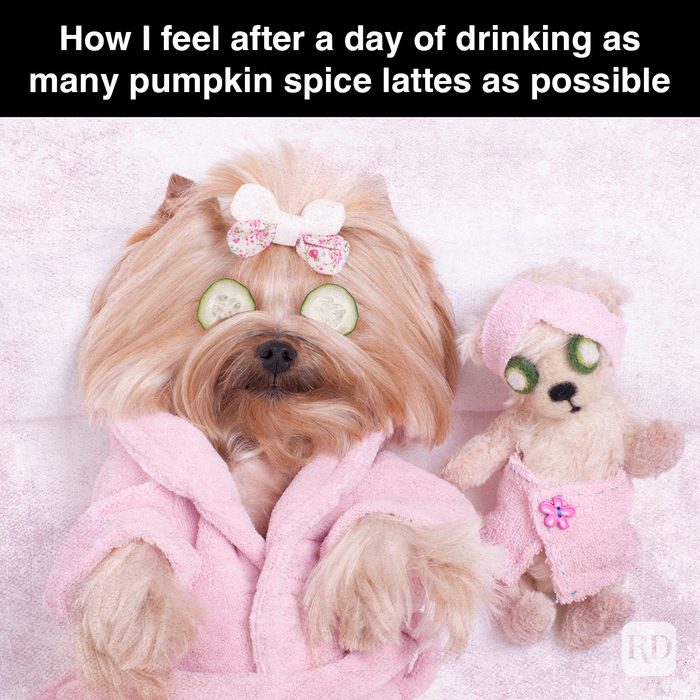 Rd Meme 32 Pumpkin Spice Memes You Willl Totally Fall For 26