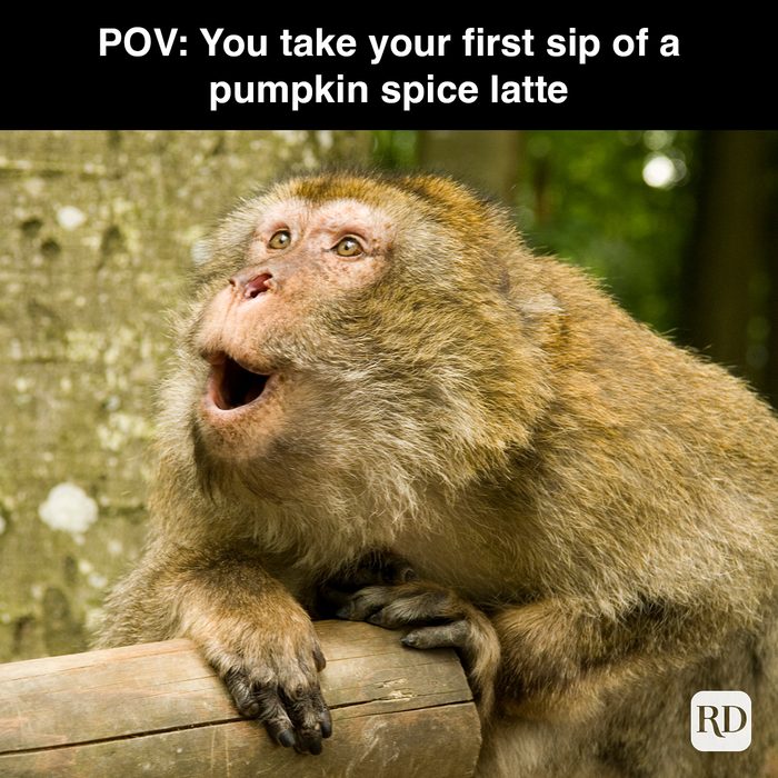 Rd Meme 32 Pumpkin Spice Memes You Willl Totally Fall For 6