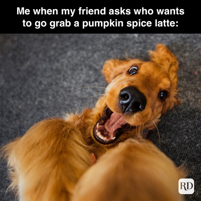 Rd Meme 32 Pumpkin Spice Memes You Willl Totally Fall For 7