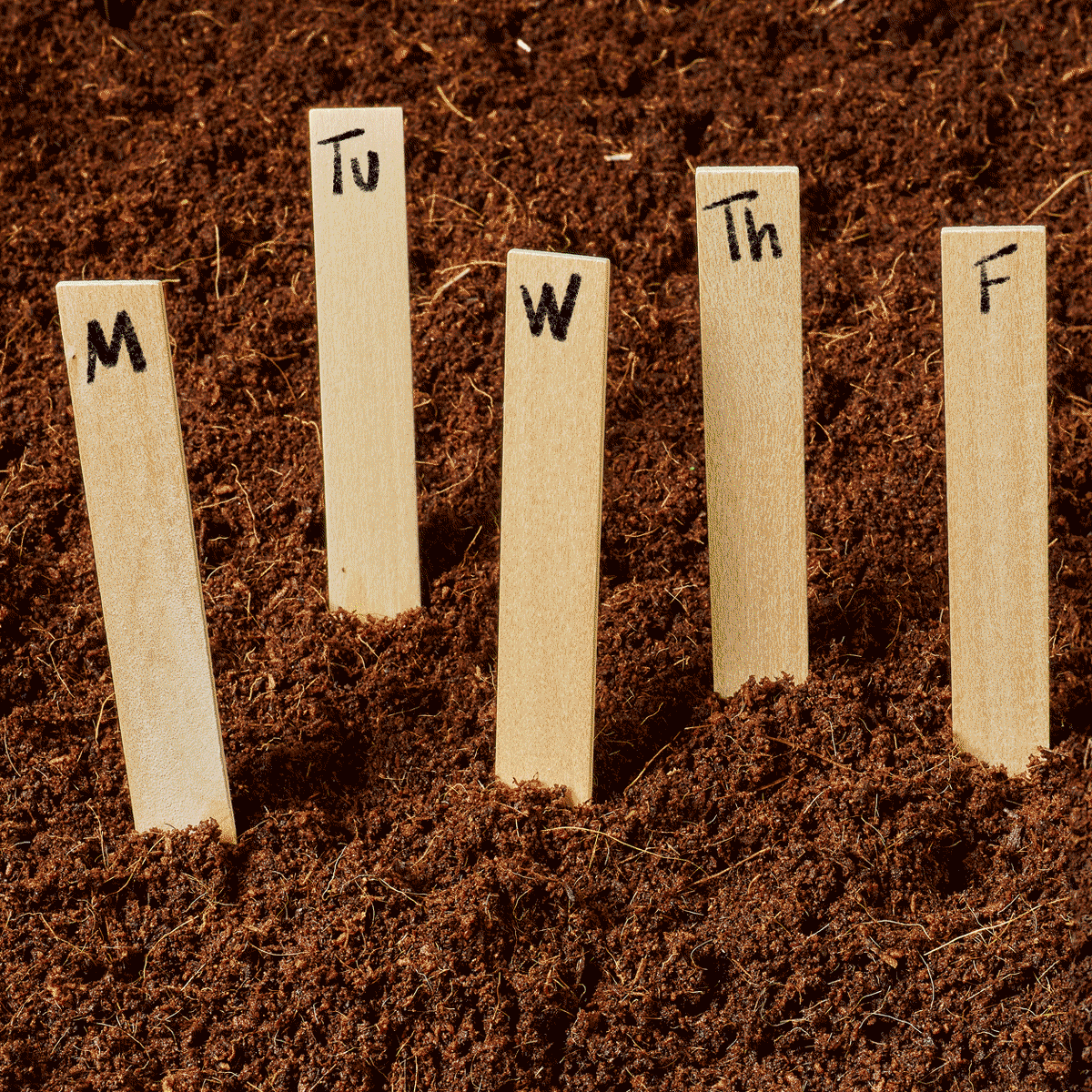 different plants growing under each day of the week garden marker