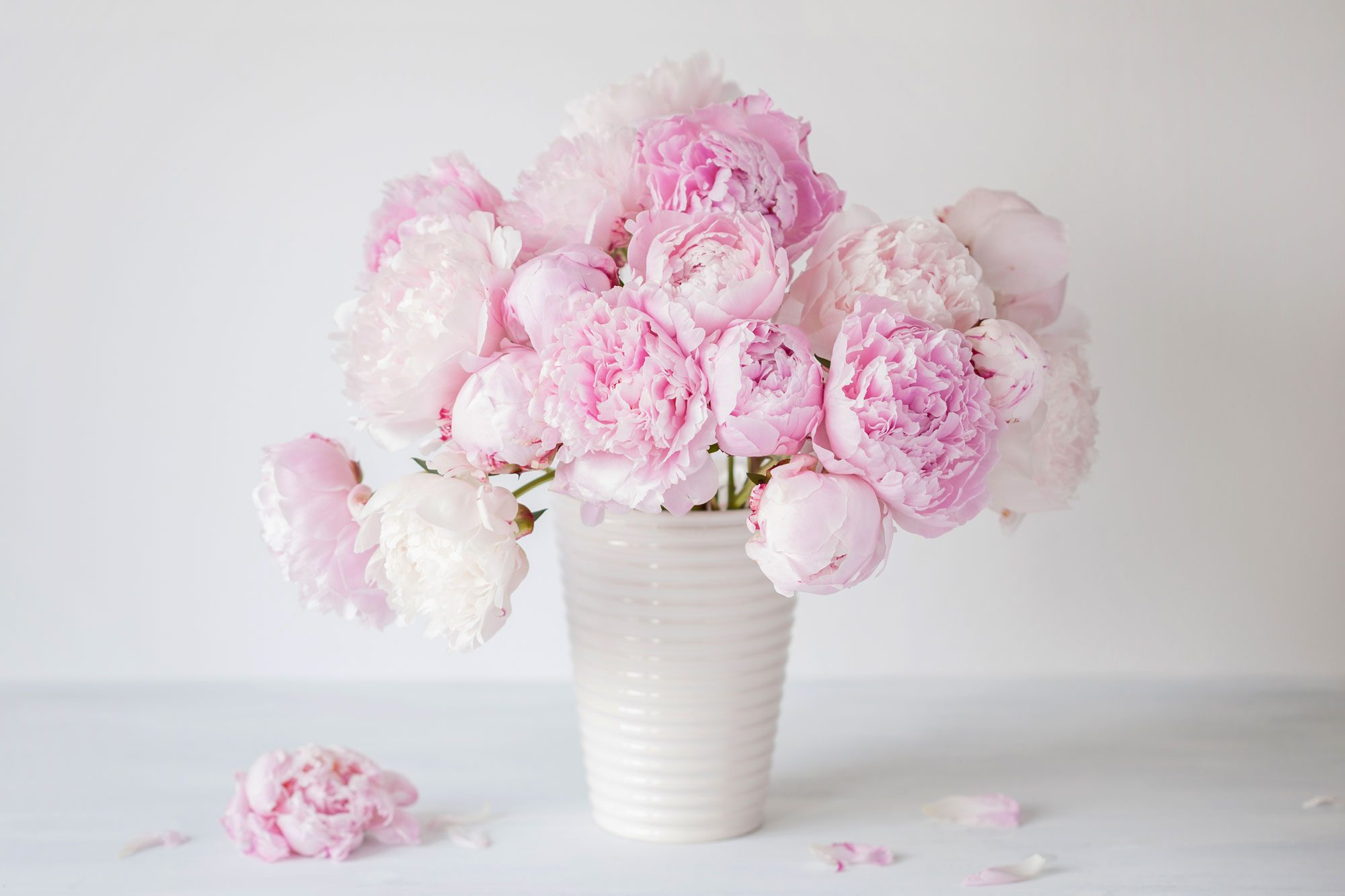 Beautiful Pink Peony Flowers Bouquet In Vase