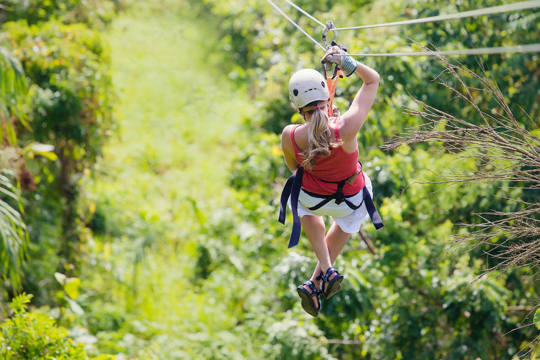 Zip lining in Forest