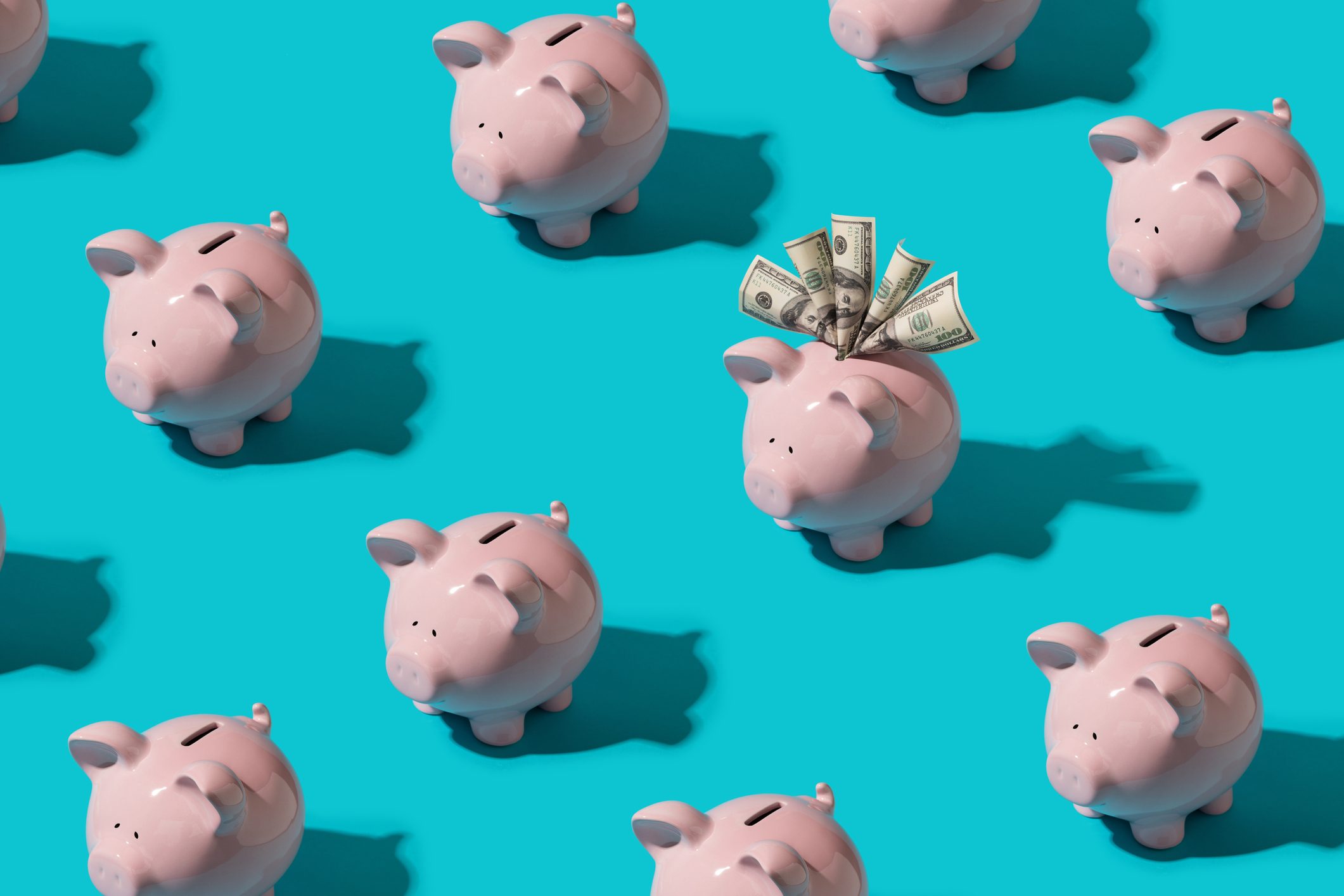 Piggy bank stuffed with hundred dollar bills on blue background with hard shadow