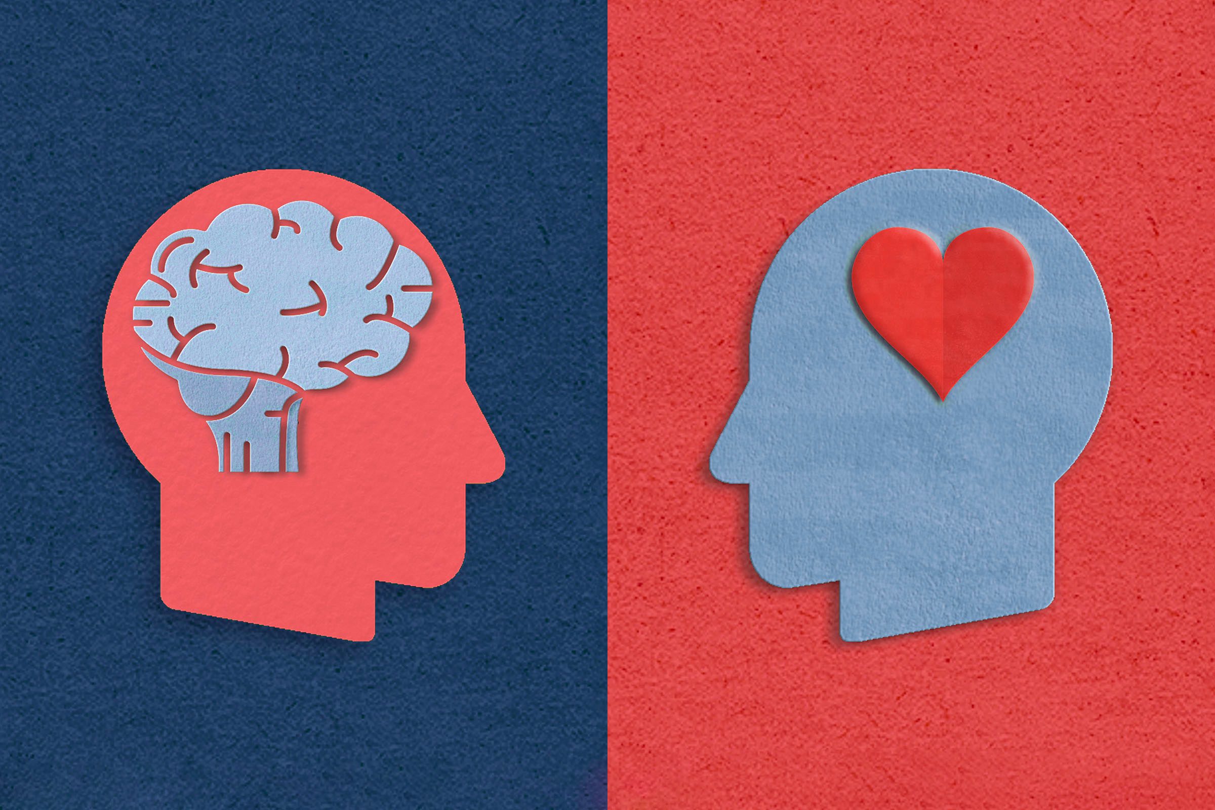 How Looking for Love at Mensa Changed My View of Intelligence