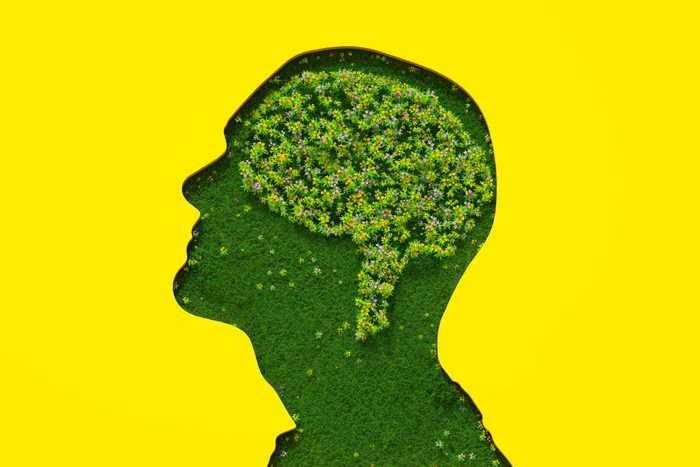 Flowers petals and leaves forming brain shape inside male's head silhouette made out of grass on yellow background.