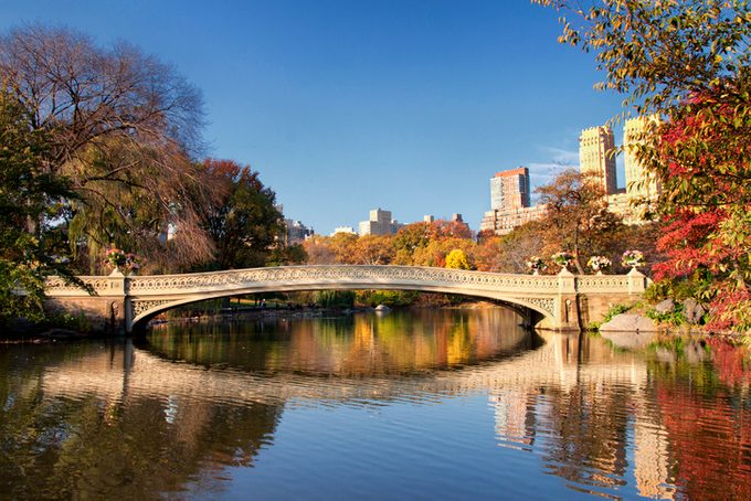 View of famous Bow bridge reflected in pond in autumn in Central Park New York City