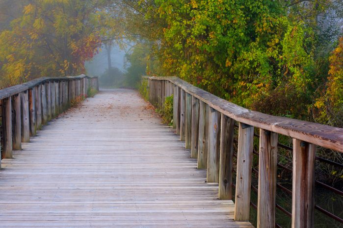 Cuyahoga Valley National Park Foggy October Morning