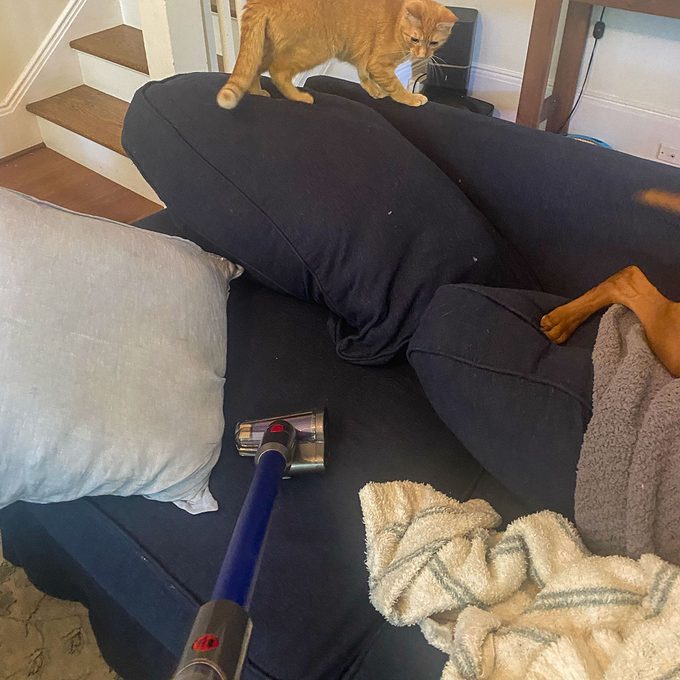 Dyson Gen5outsize used in cleaning Couch