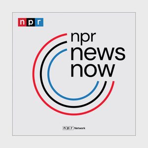 Taurus Npr News Now