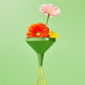 different colors of flowers being focused through a funnel so that only yellow petals come out the bottom; green background